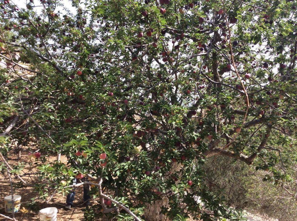 La Villa Di Zazopetra Menetai Luaran gambar
