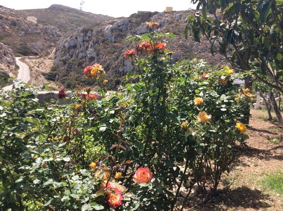 La Villa Di Zazopetra Menetai Luaran gambar