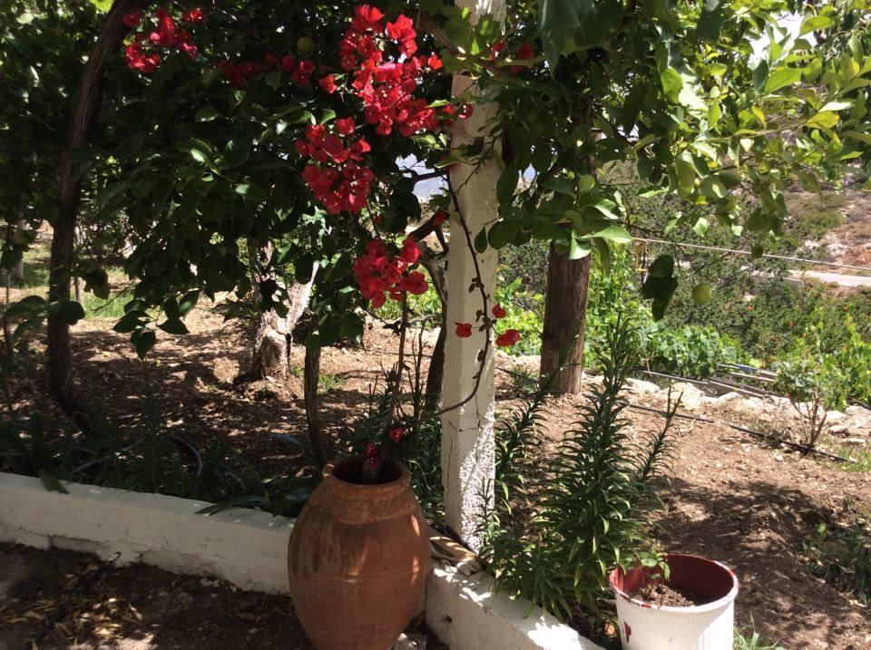La Villa Di Zazopetra Menetai Luaran gambar