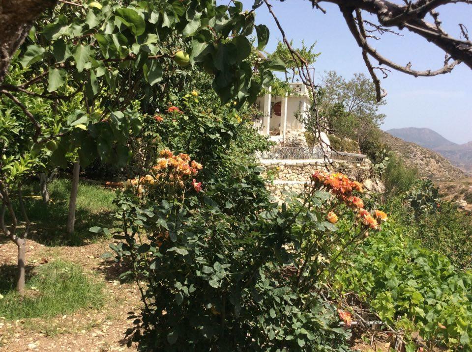La Villa Di Zazopetra Menetai Luaran gambar