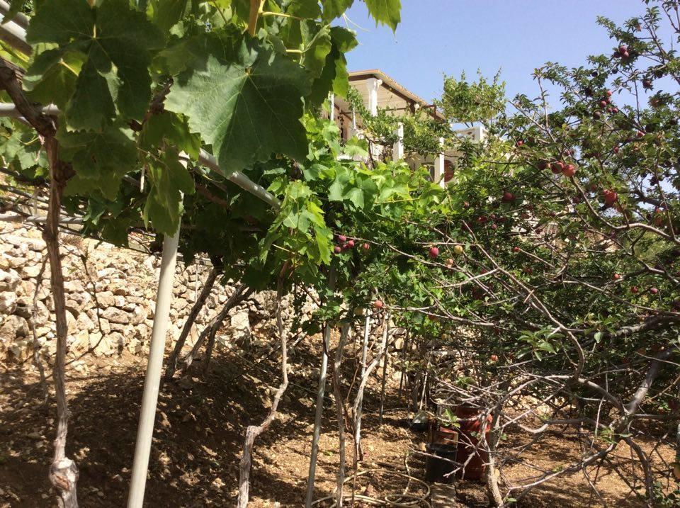 La Villa Di Zazopetra Menetai Luaran gambar