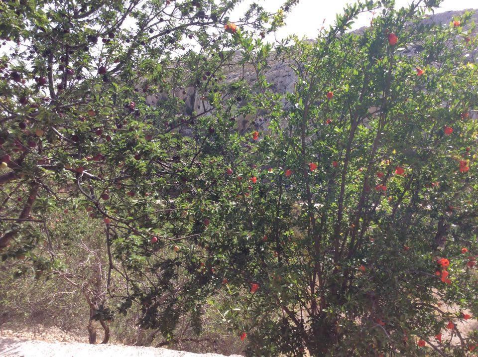 La Villa Di Zazopetra Menetai Luaran gambar