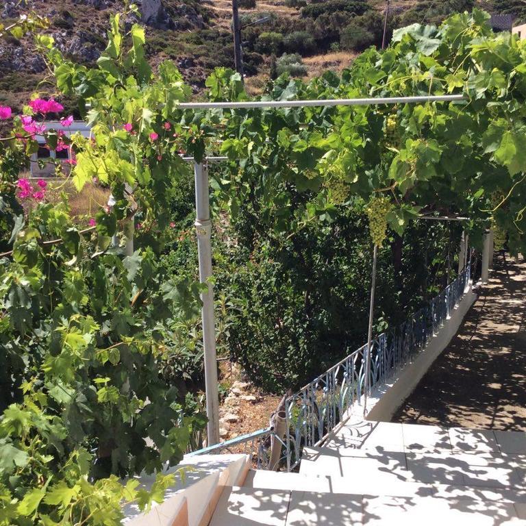 La Villa Di Zazopetra Menetai Luaran gambar