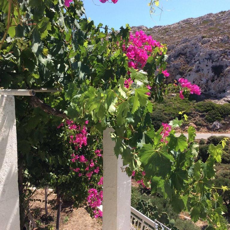 La Villa Di Zazopetra Menetai Luaran gambar
