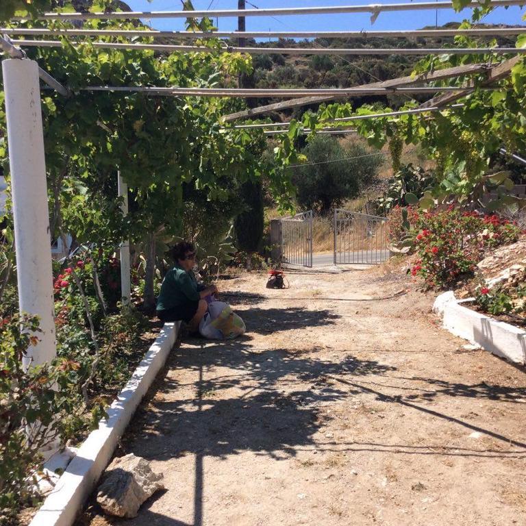 La Villa Di Zazopetra Menetai Luaran gambar