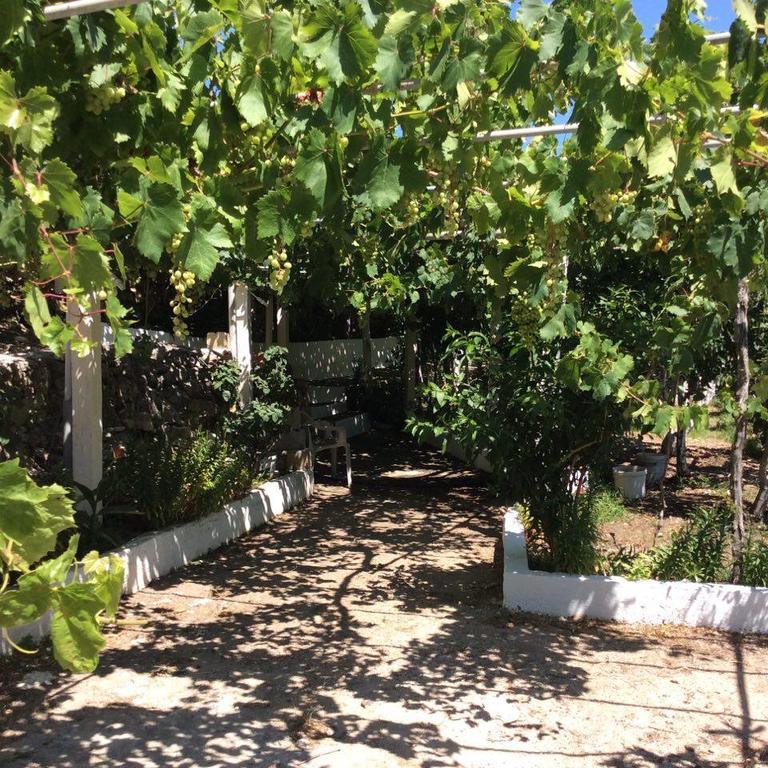 La Villa Di Zazopetra Menetai Luaran gambar