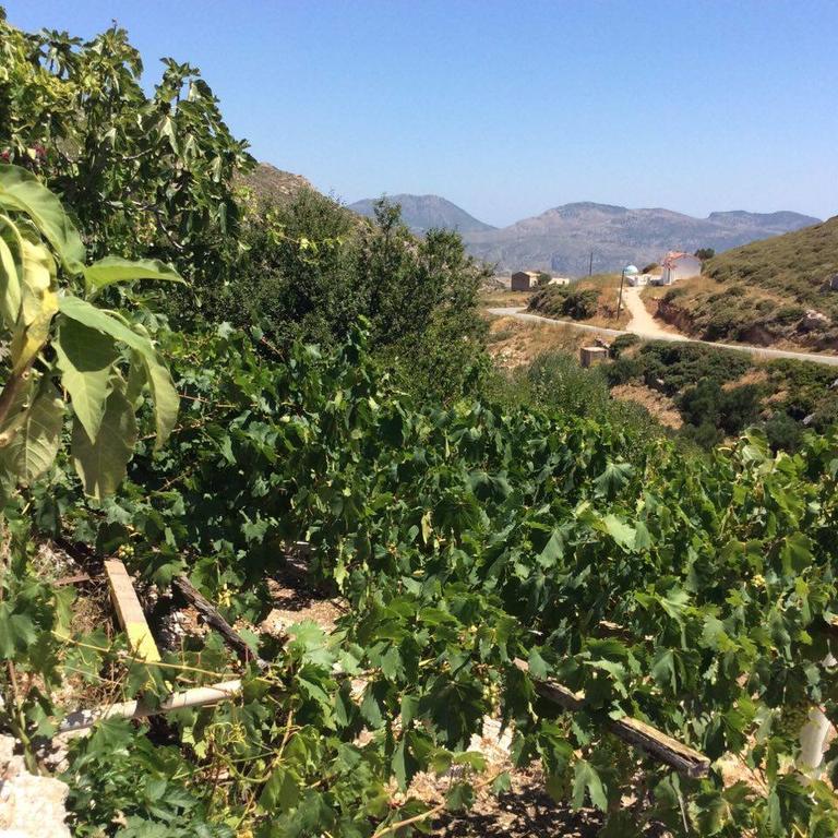 La Villa Di Zazopetra Menetai Luaran gambar